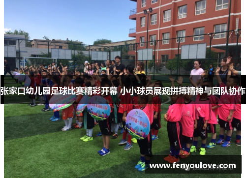 张家口幼儿园足球比赛精彩开幕 小小球员展现拼搏精神与团队协作