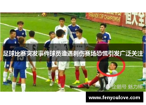 足球比赛突发事件球员遭遇刺伤赛场恐慌引发广泛关注